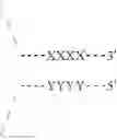 Fig. 16 - Methods of lowering the error rate of massively parallel DNA sequencing using duplex consensus sequencing
