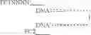 Fig. 18 - Methods of lowering the error rate of massively parallel DNA sequencing using duplex consensus sequencing