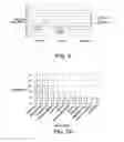 Fig. 05 - BIOMARKERS FOR EARLY EMBRYONIC VIABILITY AND METHODS THEREOF