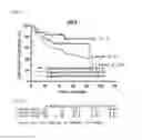Fig. 08 - System for predicting prognosis and benefit from adjuvant chemotherapy for patients with stage II and III gastric cancer