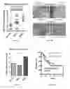 Fig. 12 - Methods and Systems for Predicting Response to Immunotherapies for Treatment of Cancer