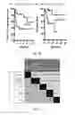 Fig. 15 - Methods and Systems for Predicting Response to Immunotherapies for Treatment of Cancer