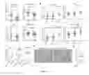 Fig. 28 - Methods and Systems for Predicting Response to Immunotherapies for Treatment of Cancer