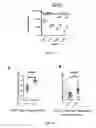 Fig. 41 - Methods and Systems for Predicting Response to Immunotherapies for Treatment of Cancer