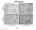 Fig. 48 - Methods and Systems for Predicting Response to Immunotherapies for Treatment of Cancer