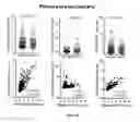 Fig. 53 - Methods and Systems for Predicting Response to Immunotherapies for Treatment of Cancer