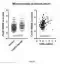 Fig. 54 - Methods and Systems for Predicting Response to Immunotherapies for Treatment of Cancer