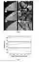 Fig. 10 - Surface treatment process