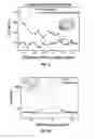 Fig. 12 - Surface treatment process