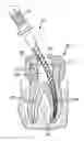 Fig. 01 - ENDODONTIC INSTRUMENTS AND METHODS OF MANUFACTURING THEREOF