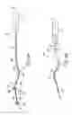 Fig. 11 - ENDODONTIC INSTRUMENTS AND METHODS OF MANUFACTURING THEREOF