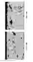 Fig. 10 - Coating system including nucleating agent