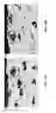 Fig. 11 - Coating system including nucleating agent