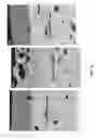 Fig. 12 - Coating system including nucleating agent