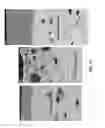 Fig. 13 - Coating system including nucleating agent