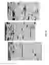 Fig. 14 - Coating system including nucleating agent