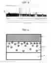 Fig. 03 - STRUCTURAL MATERIAL