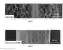 Fig. 03 - MULTI LAYER SCAFFOLD DESIGN WITH SPACIAL ARRANGEMENT OF CELLS TO MODULATE TISSUE GROWTH