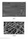 Fig. 06 - MULTI LAYER SCAFFOLD DESIGN WITH SPACIAL ARRANGEMENT OF CELLS TO MODULATE TISSUE GROWTH