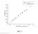 Fig. 04 - Antimicrobial alginate fiber, and preparation method for and use of dressing thereof
