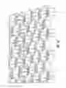 Fig. 03 - Ground stabilization grid