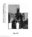 Fig. 24 - Composite wall panel
