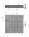 Fig. 02 - Columbarium assembly