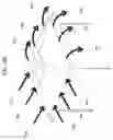 Fig. 37 - Adjustable-canopies adjustable-awning central-lock popup