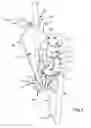 Fig. 05 - Fence post driving apparatus