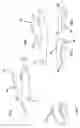 Fig. 06 - TAG