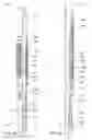 Fig. 05 - Downhole casing pulling tool
