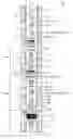 Fig. 01 - Multi-zone well testing