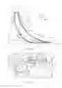 Fig. 08 - Internal combustion engine and a method for enhancing the yield of an internal combustion engine