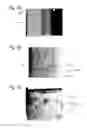 Fig. 03 - REFRIGERANT COMPRESSOR AND FREEZER/REFRIGERATOR INCLUDING SAME