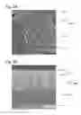 Fig. 04 - REFRIGERANT COMPRESSOR AND FREEZER/REFRIGERATOR INCLUDING SAME