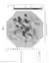 Fig. 08 - Use of treating elements to facilitate flow in vessels