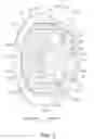 Fig. 04 - Clutch device