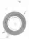 Fig. 03 - VENTILATED BRAKE DISC