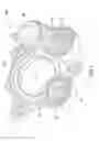 Fig. 02 - Orbital tensioner
