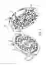 Fig. 02 - Quick coupling with multi-piece elastomer seal