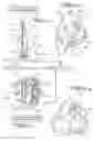 Fig. 04 - LED light device has special effects