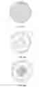 Fig. 09 - LED lamp with a sleeve