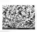 Fig. 11 - Burner using high-temperature combustion catalyst
