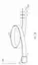 Fig. 02 - Waist measuring belt