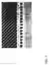 Fig. 04 - Nanochannel arrays and their preparation and use for high throughput macromolecular analysis