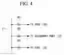 Fig. 04 - Analysis condition adjusting device of simple fuel analyzer