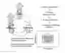 Fig. 01 - Methods for improving cell viability in a production bioreactor