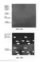 Fig. 11 - EXOSOMES AND USES THEREOF