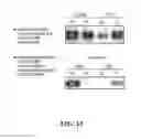Fig. 25 - EXOSOMES AND USES THEREOF