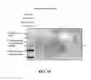 Fig. 30 - EXOSOMES AND USES THEREOF